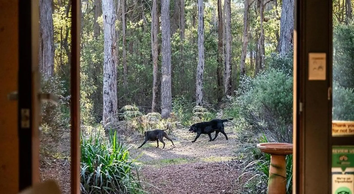 Jarrah Grove Retreat Tiere