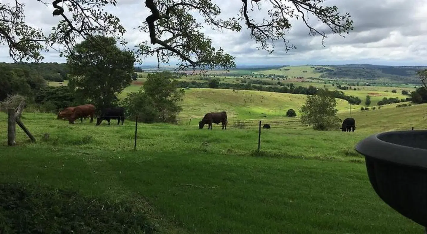 Hillview Cottages Tiere