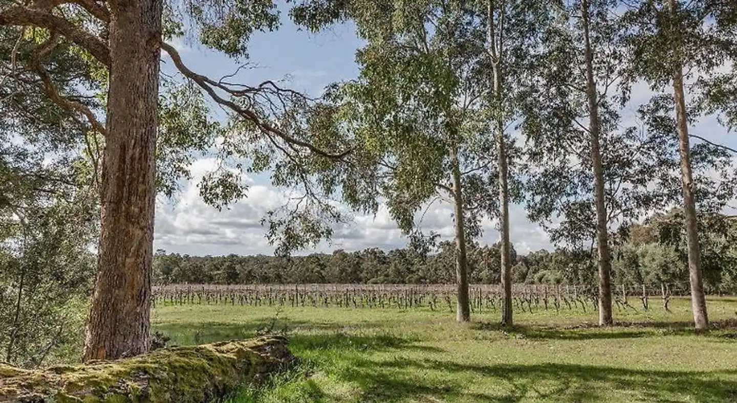 The Grove Distillery & Brewery Landschaft