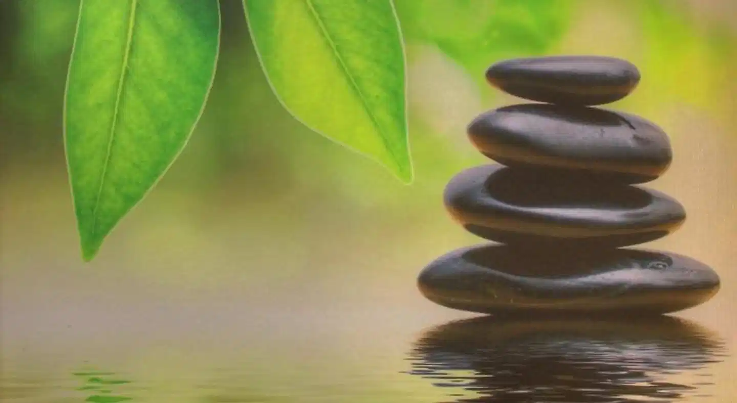 Mapleton Falls Accommodation Wellness