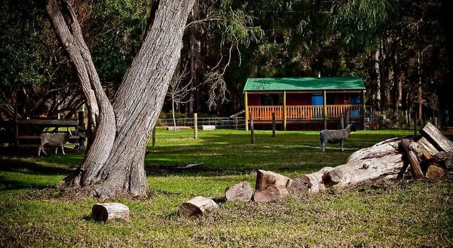 Diamond Forest Farm Stay Tiere