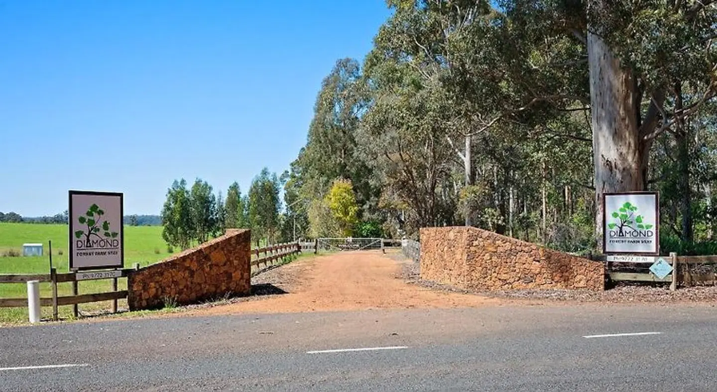 Diamond Forest Farm Stay LANDSCAPE