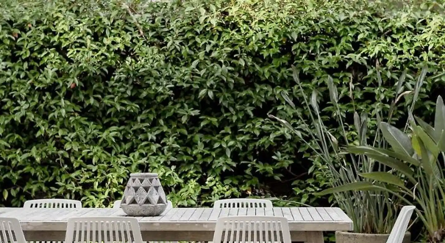 Salt at Shoal Bay Garten