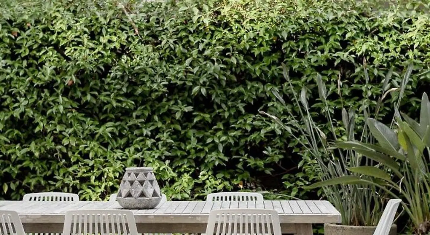 Salt at Shoal Bay Garten