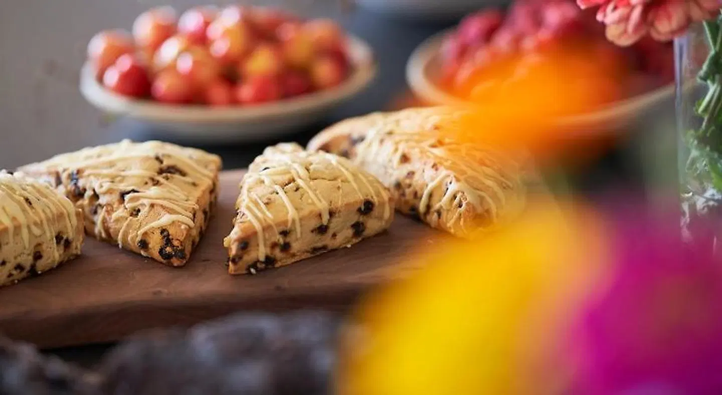 Inn the Ground Tiere