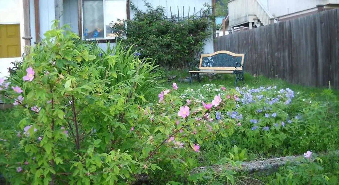 Arctic Paradise B&B Garten