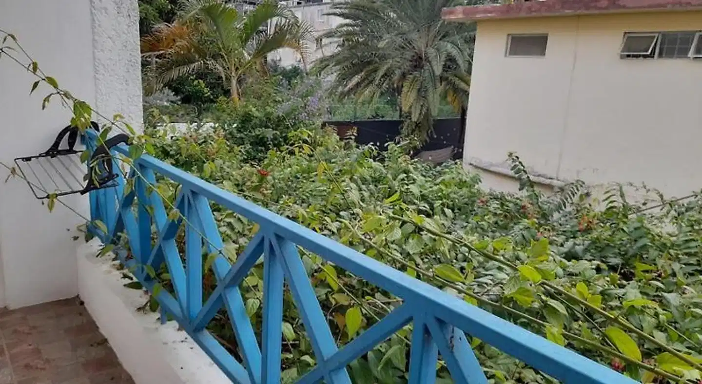 Auberge Miko Terrasse