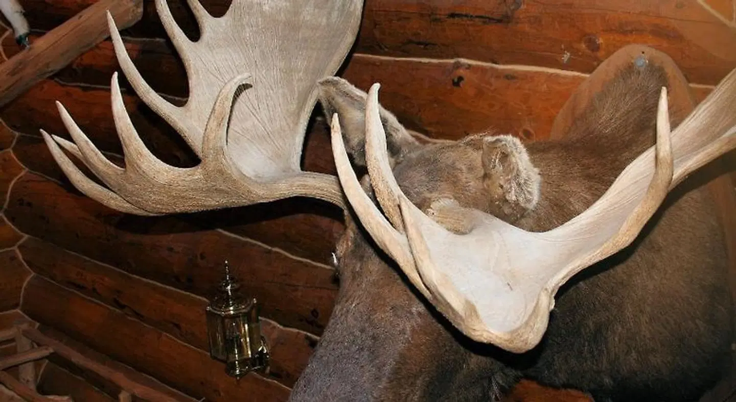 Wise Old Hunter Lodge HEALTH_BEAUTY