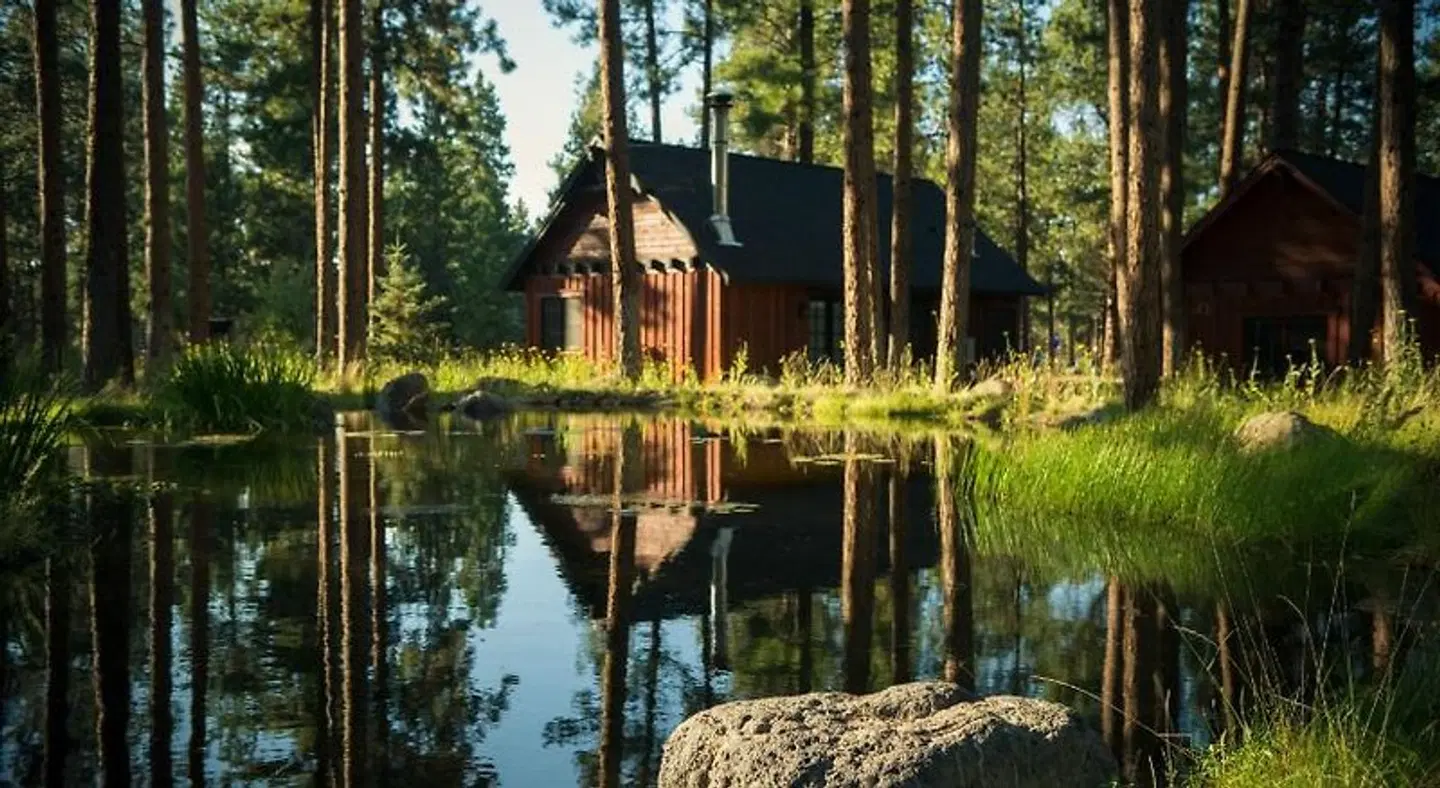 FivePine Lodge Tiere