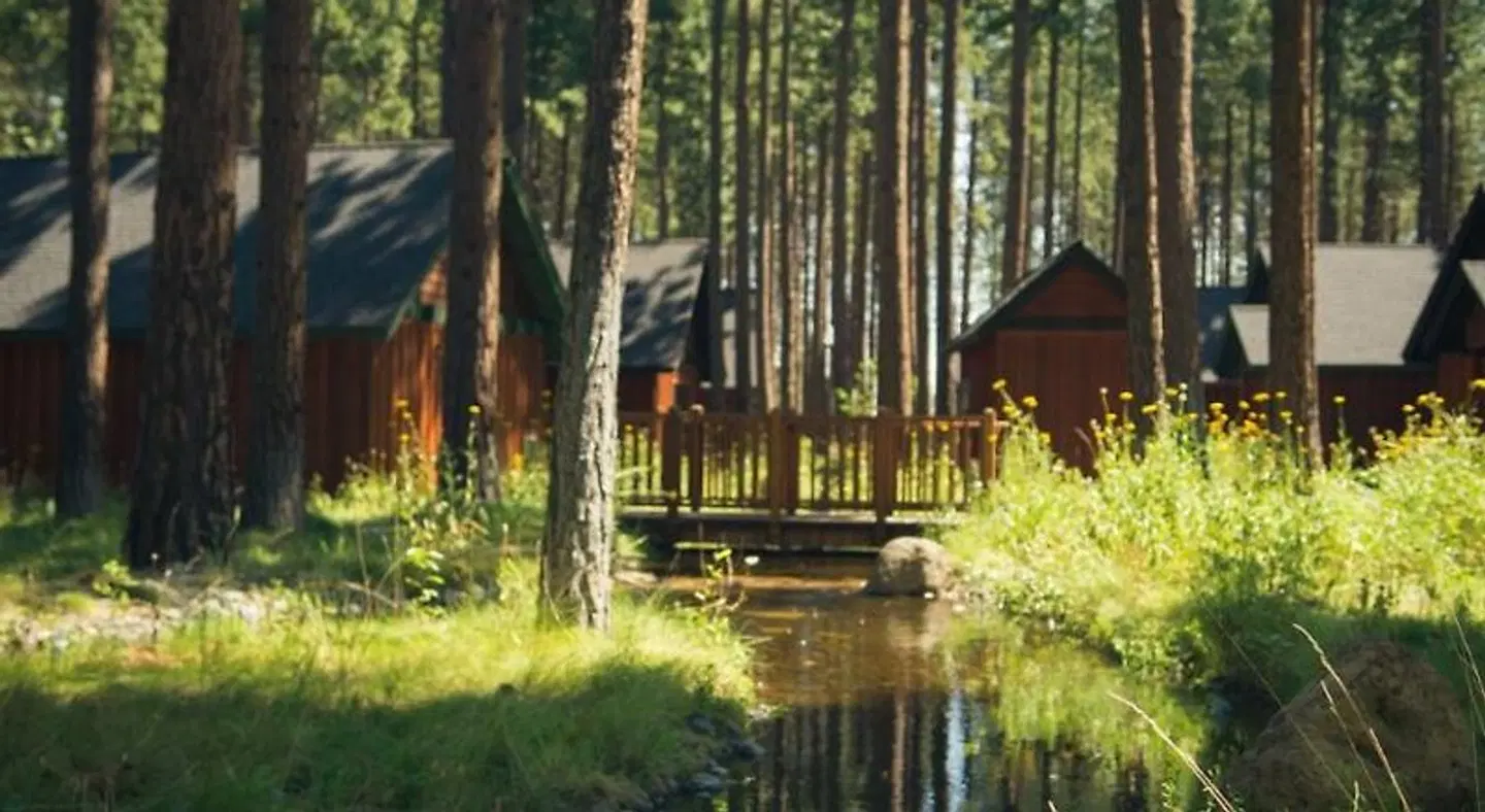 FivePine Lodge LANDSCAPE