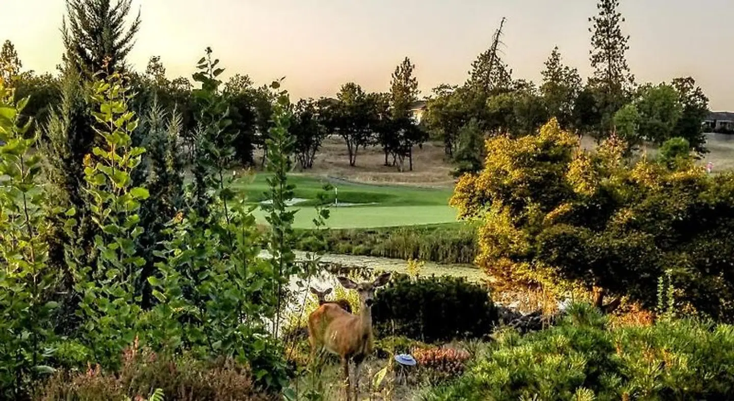 Resort at Eagle Point Golf Club Garten