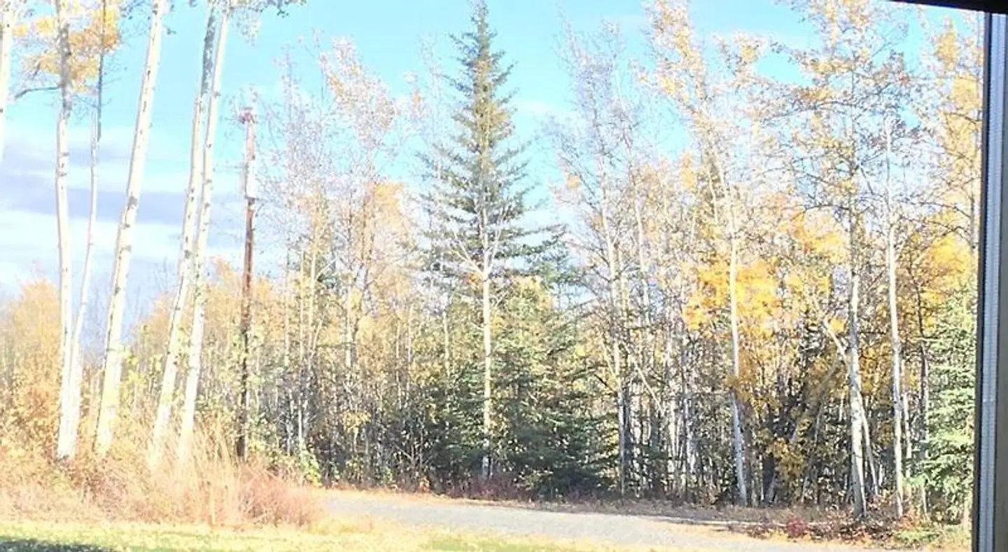 Sawinglogzz Log Cabin Tiere