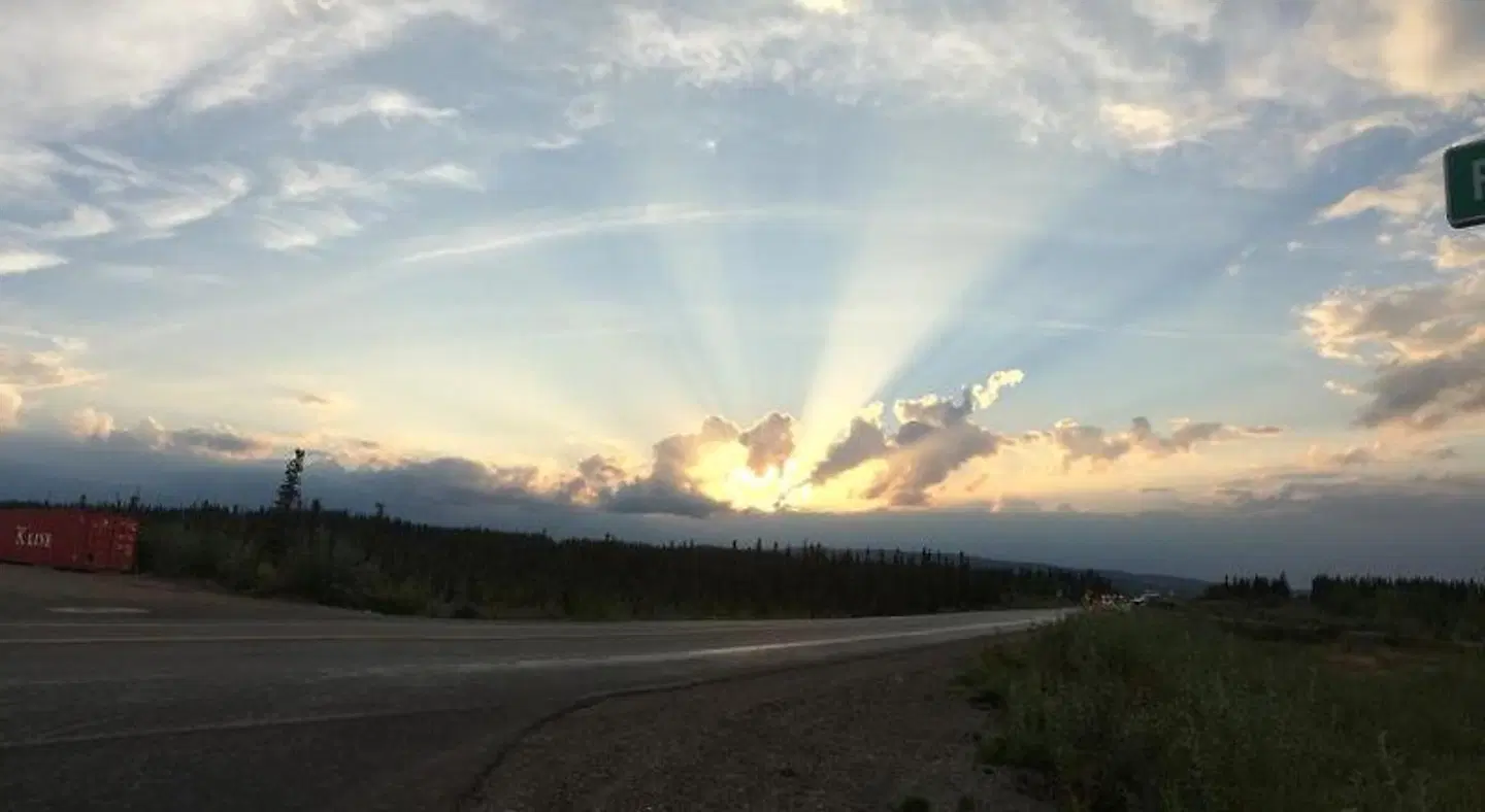 Denali Primrose B&B LANDSCAPE