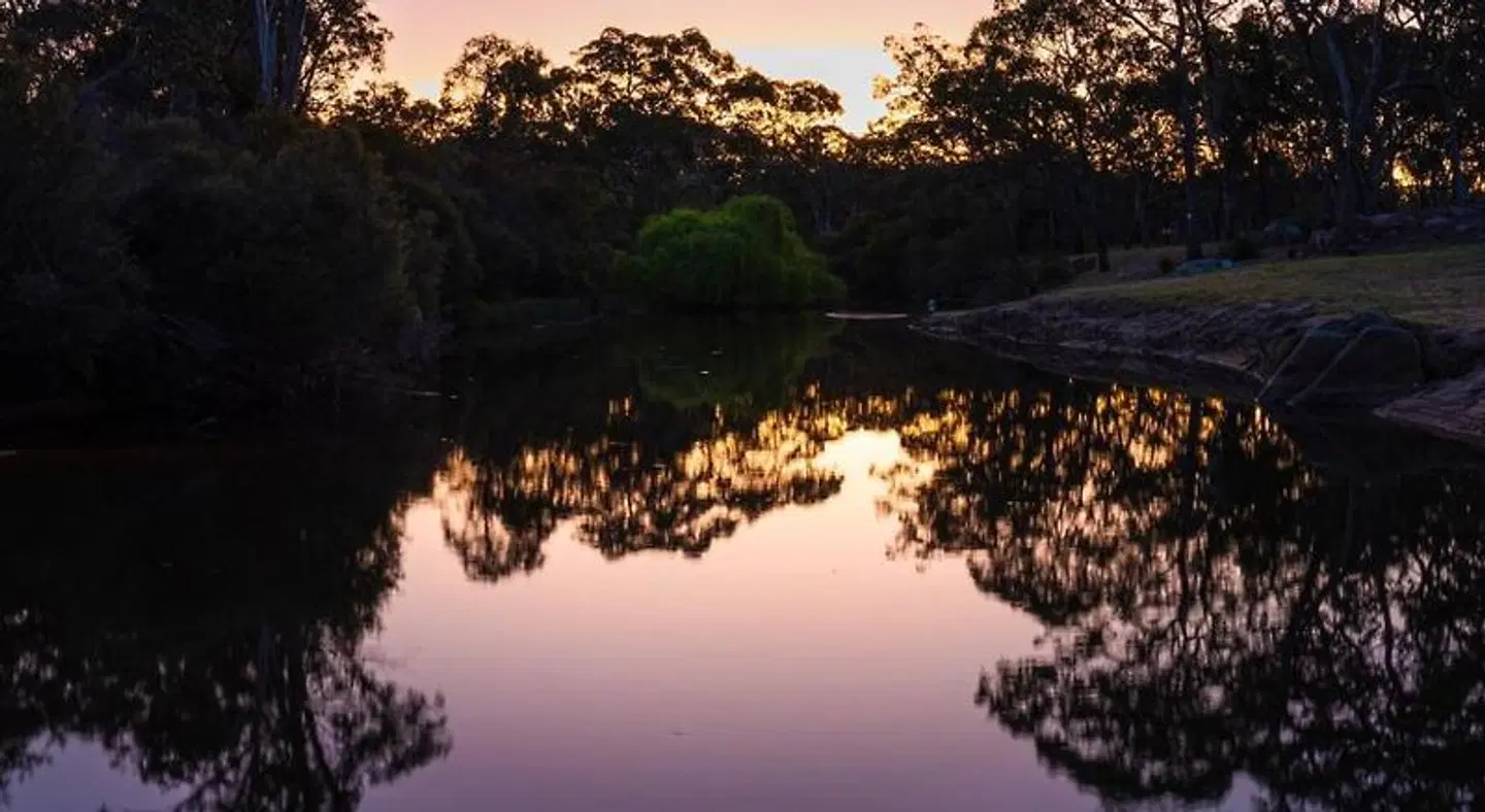 Diamondvale B&B Cottages Stanthorpe LANDSCAPE