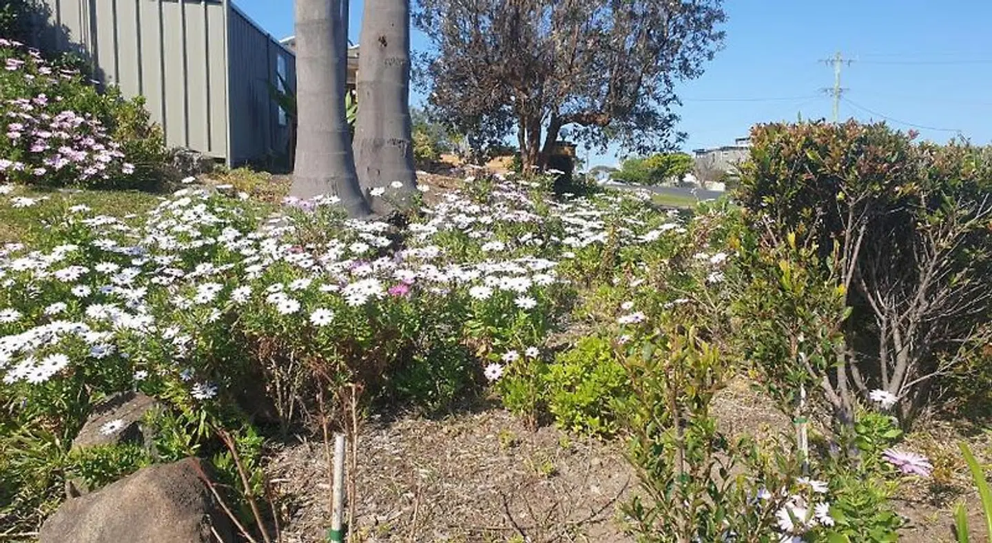 Sandpiper Motel Ulladulla Garten
