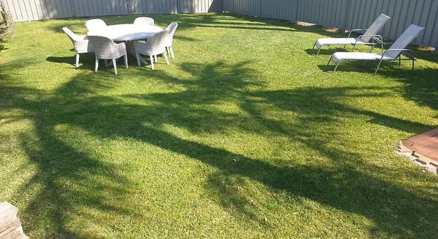 Sandpiper Motel Ulladulla Tiere