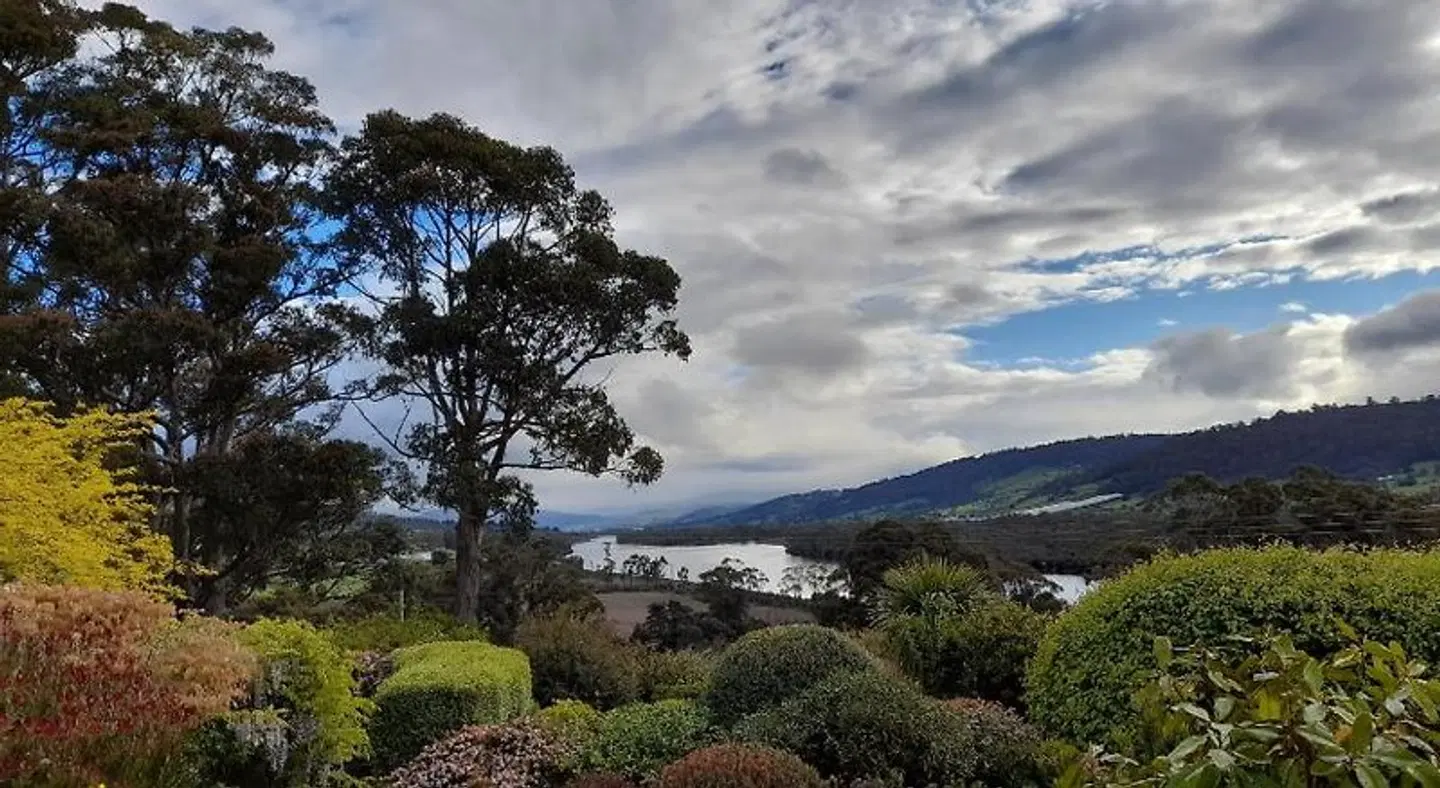 Hillside Bed and Breakfast LANDSCAPE