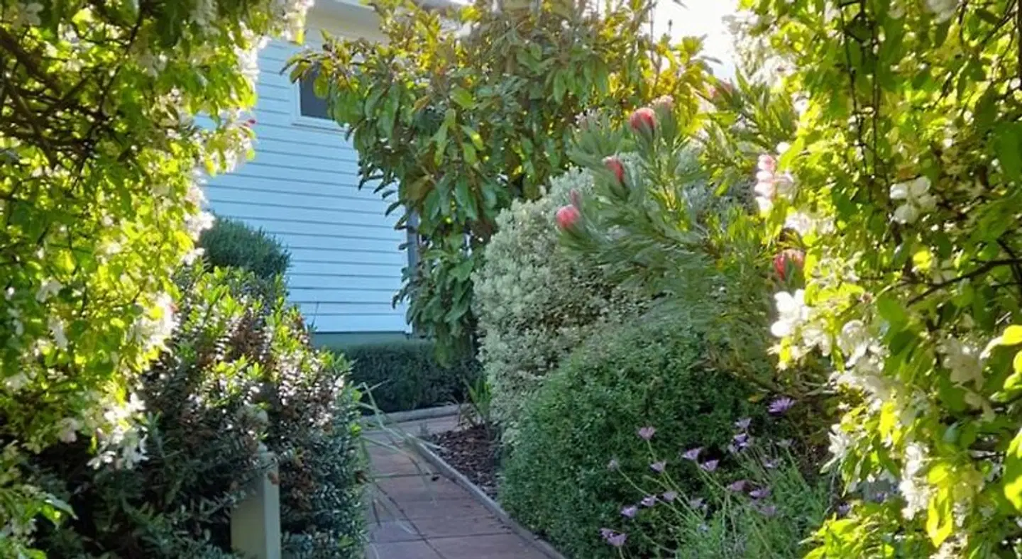 Hillside Bed and Breakfast Garten