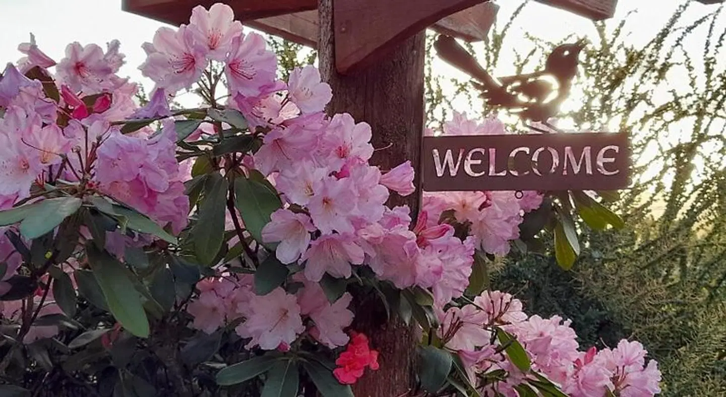 Hillside Bed and Breakfast EXTERIOR