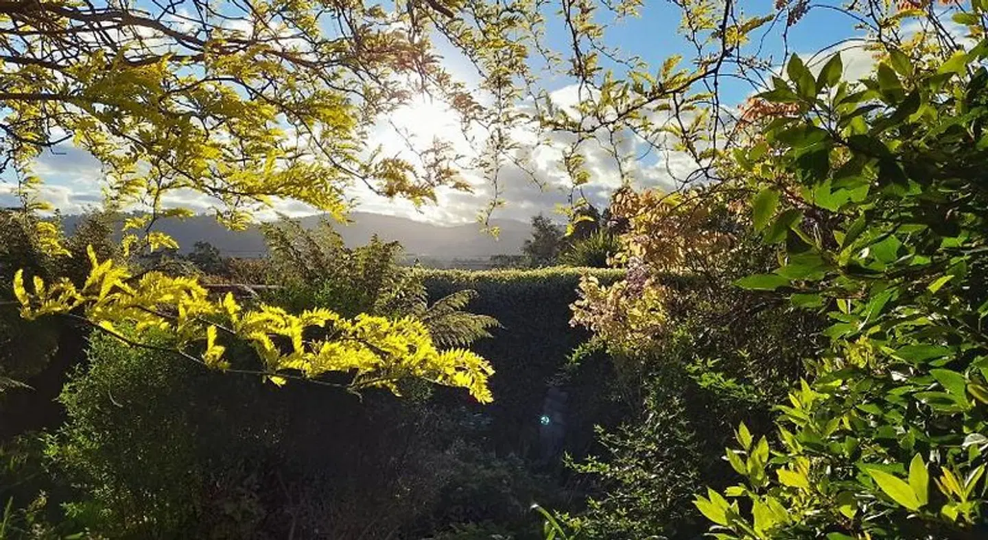 Hillside Bed and Breakfast Garten