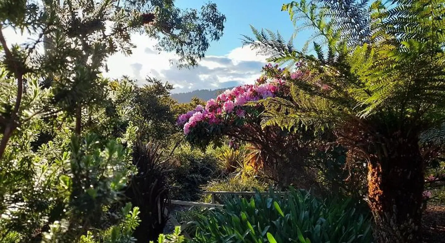 Hillside Bed and Breakfast Garten