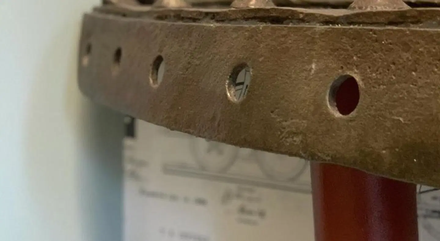 Bell Hill Apartments Tiere