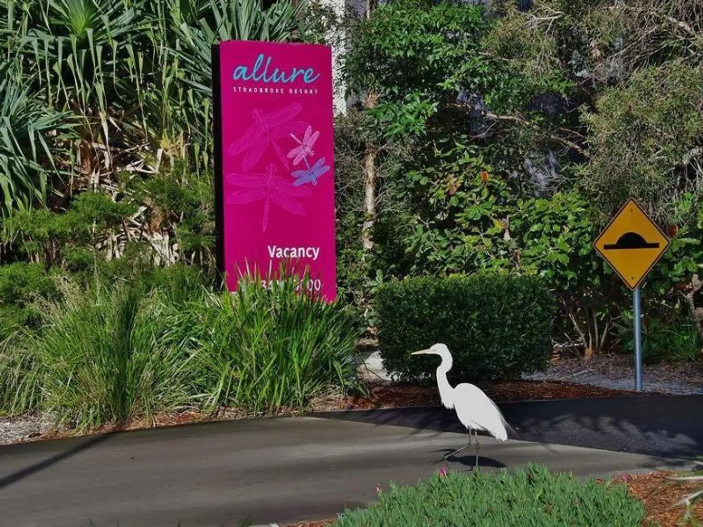 Allure Stradbroke Resort HEALTH_BEAUTY
