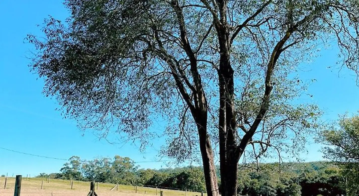 Seven Peaks Farm Stay LANDSCAPE