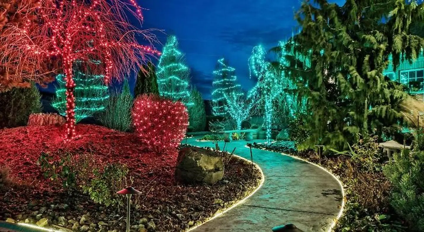 Cameo Heights Mansion Terrasse