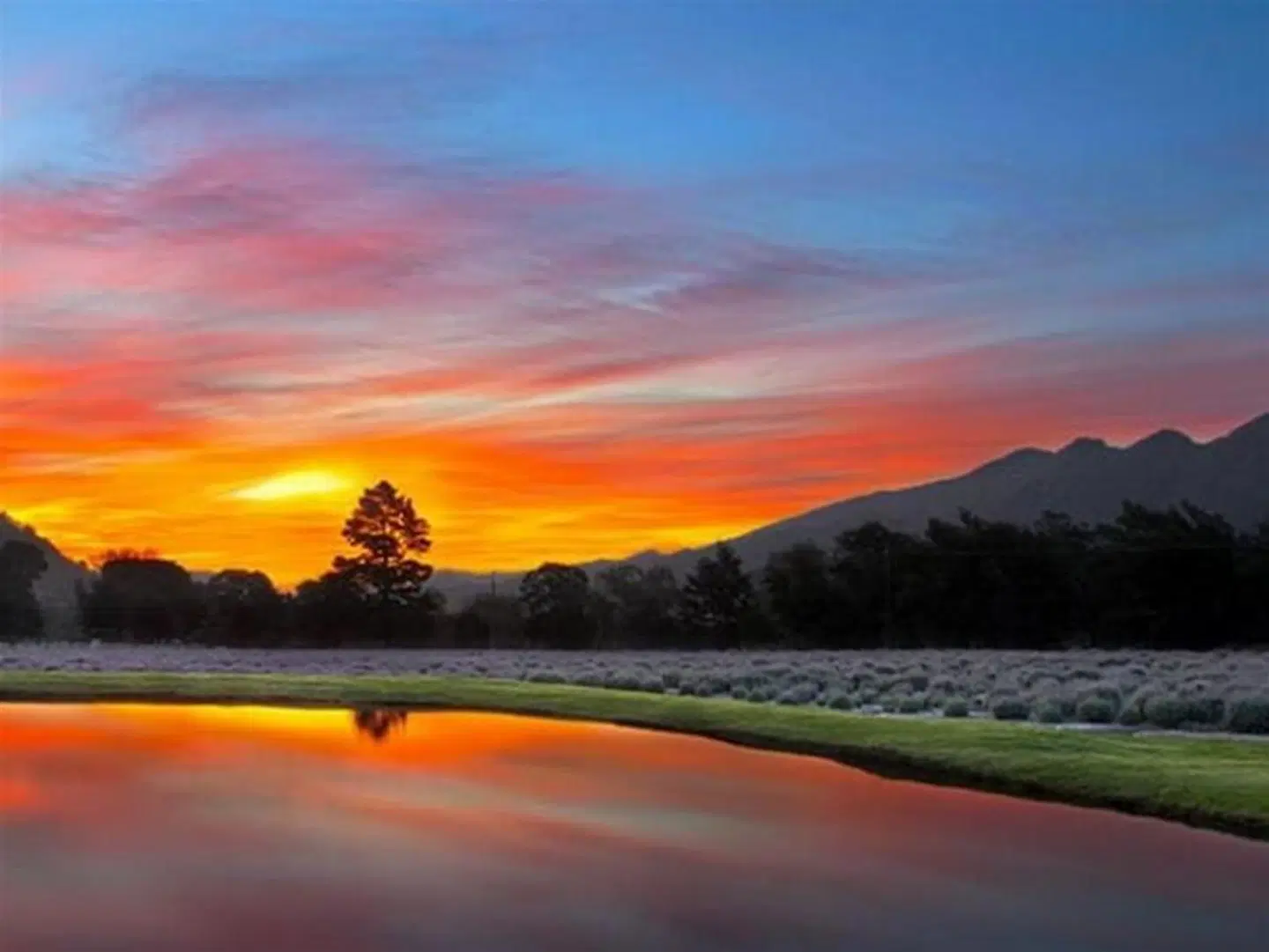 Lavender Farm Guest House SPORTS_AND_LEISURE