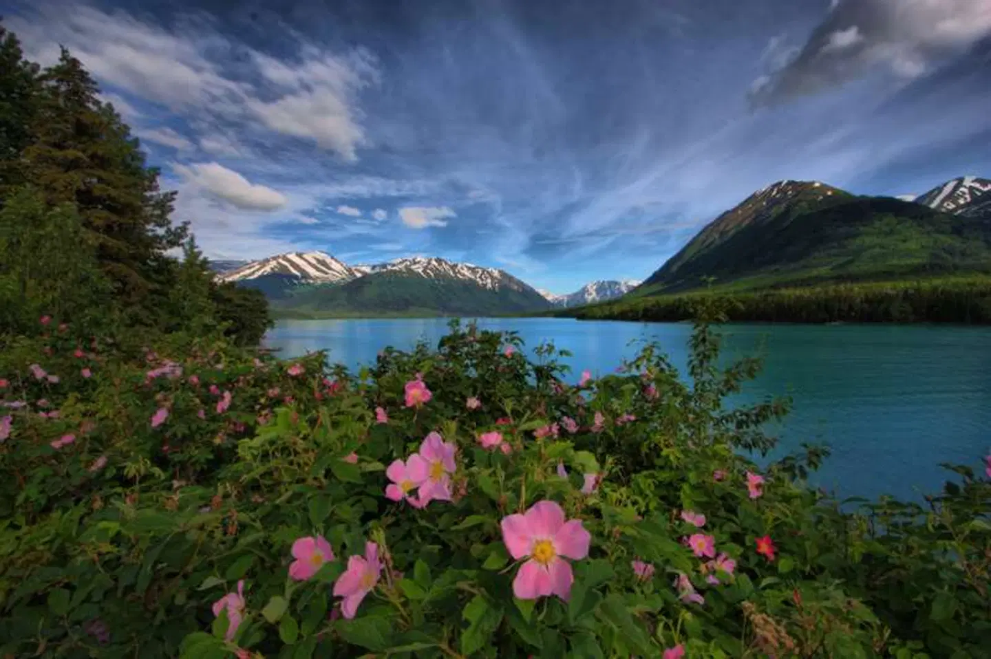 Embassy Suites by Hilton Anchorage LANDSCAPE