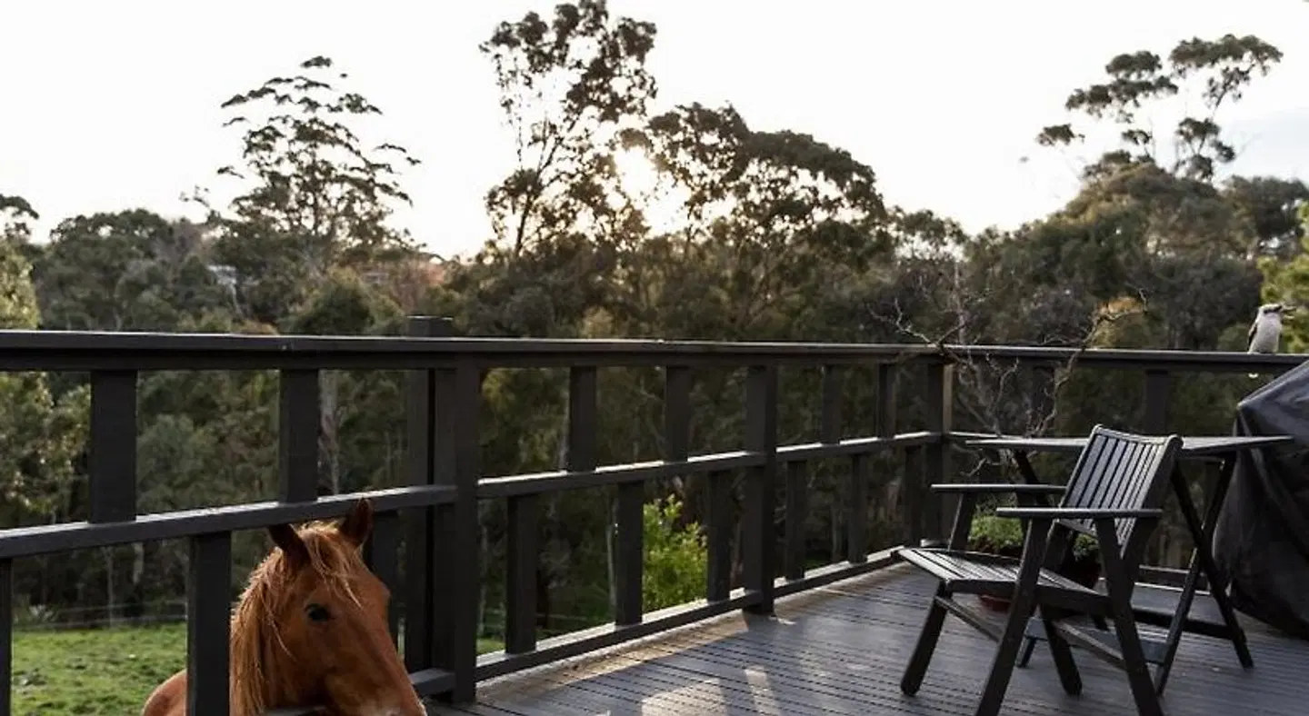 Shizuka Ryokan Japanese Country Spa & Wellness Retreat Terrasse
