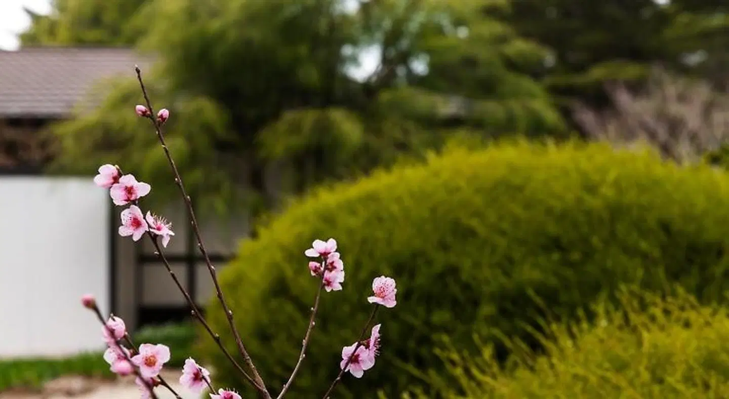 Shizuka Ryokan Japanese Country Spa & Wellness Retreat LANDSCAPE