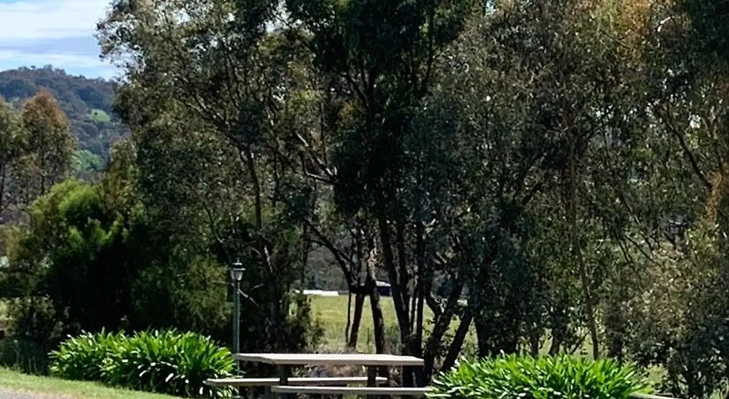 Motel Views Yackandandah Garten