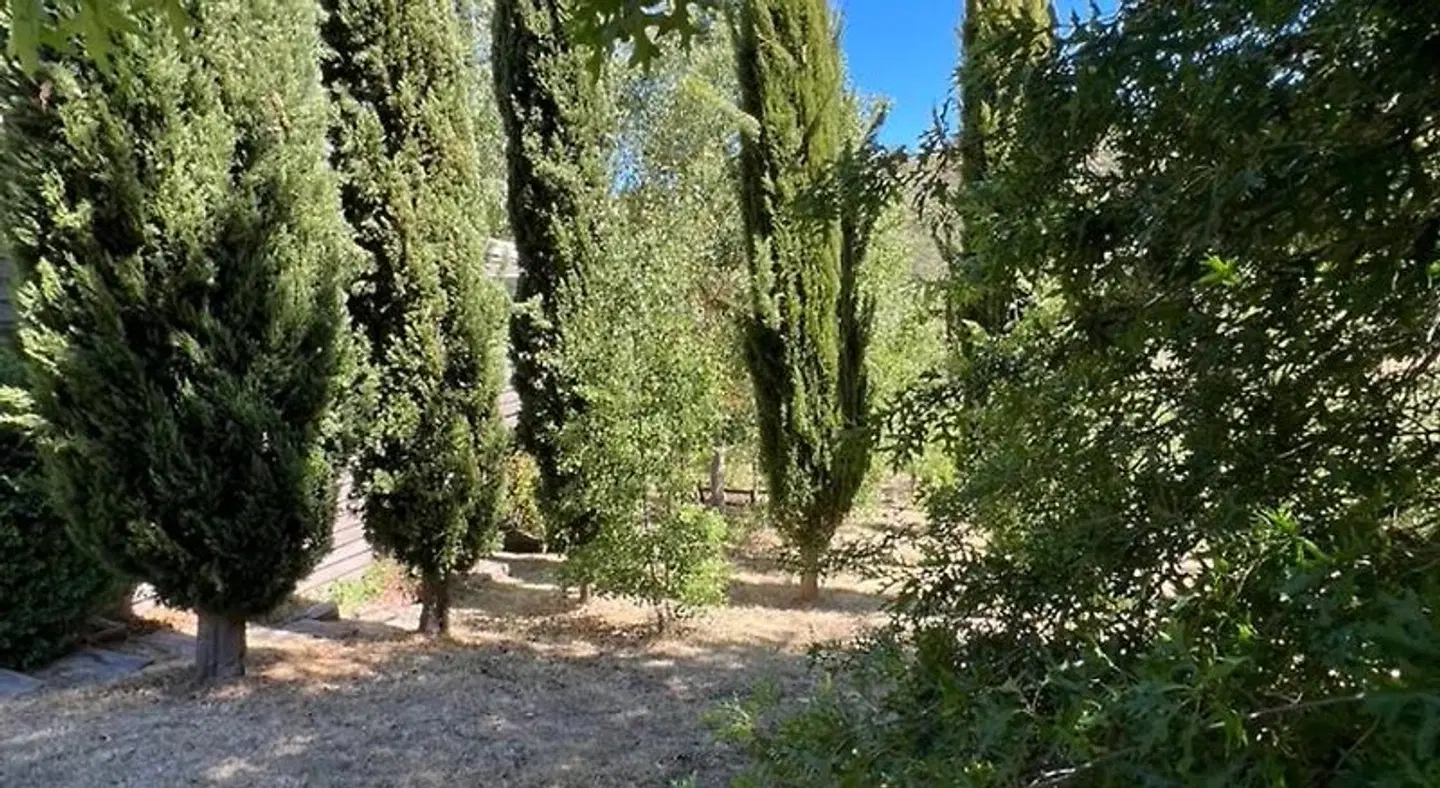 Blue Cliffs Retreat Garten