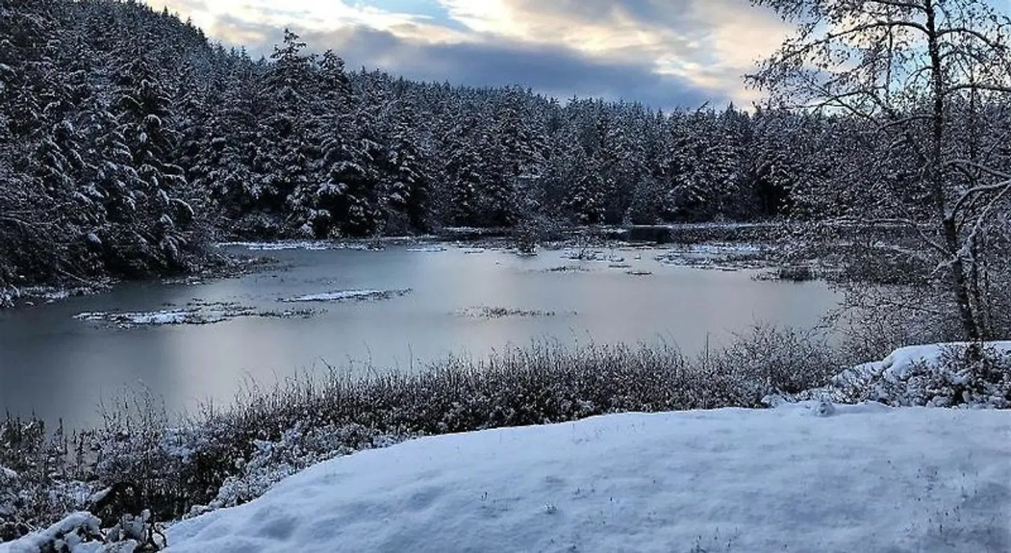 Otter's Pond Bed and Breakfast LANDSCAPE