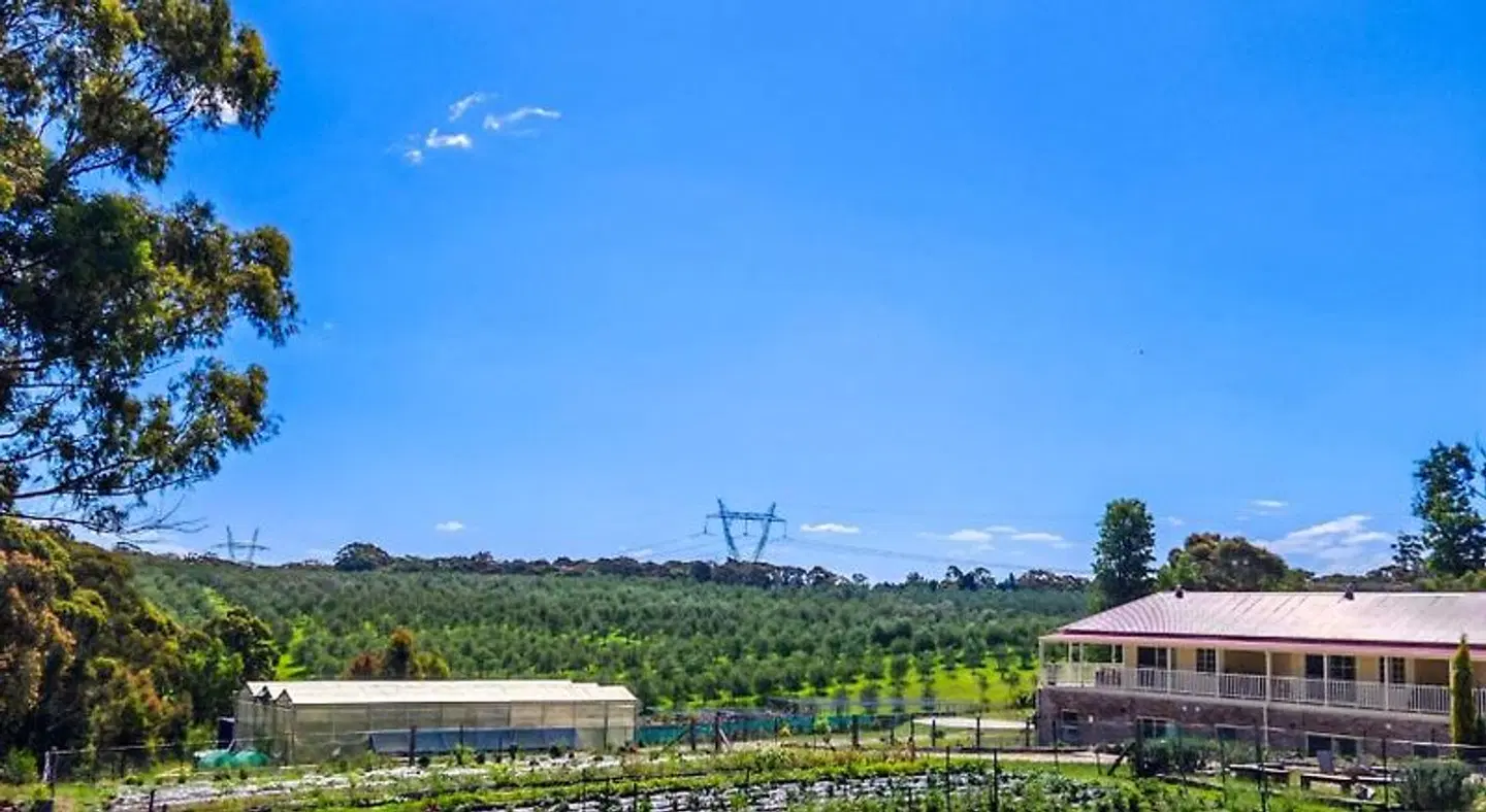 Canyonleigh Retreat LANDSCAPE