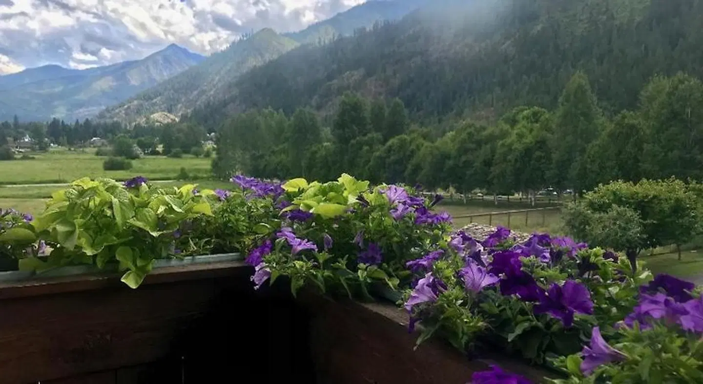 Abendblume - Adults Only Garten