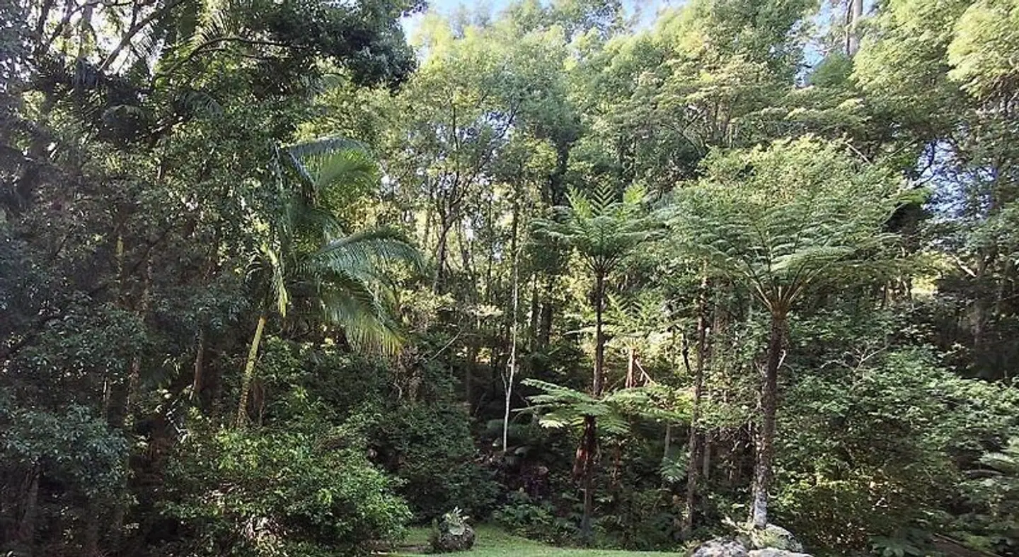 Limpinwood Lodge Garten