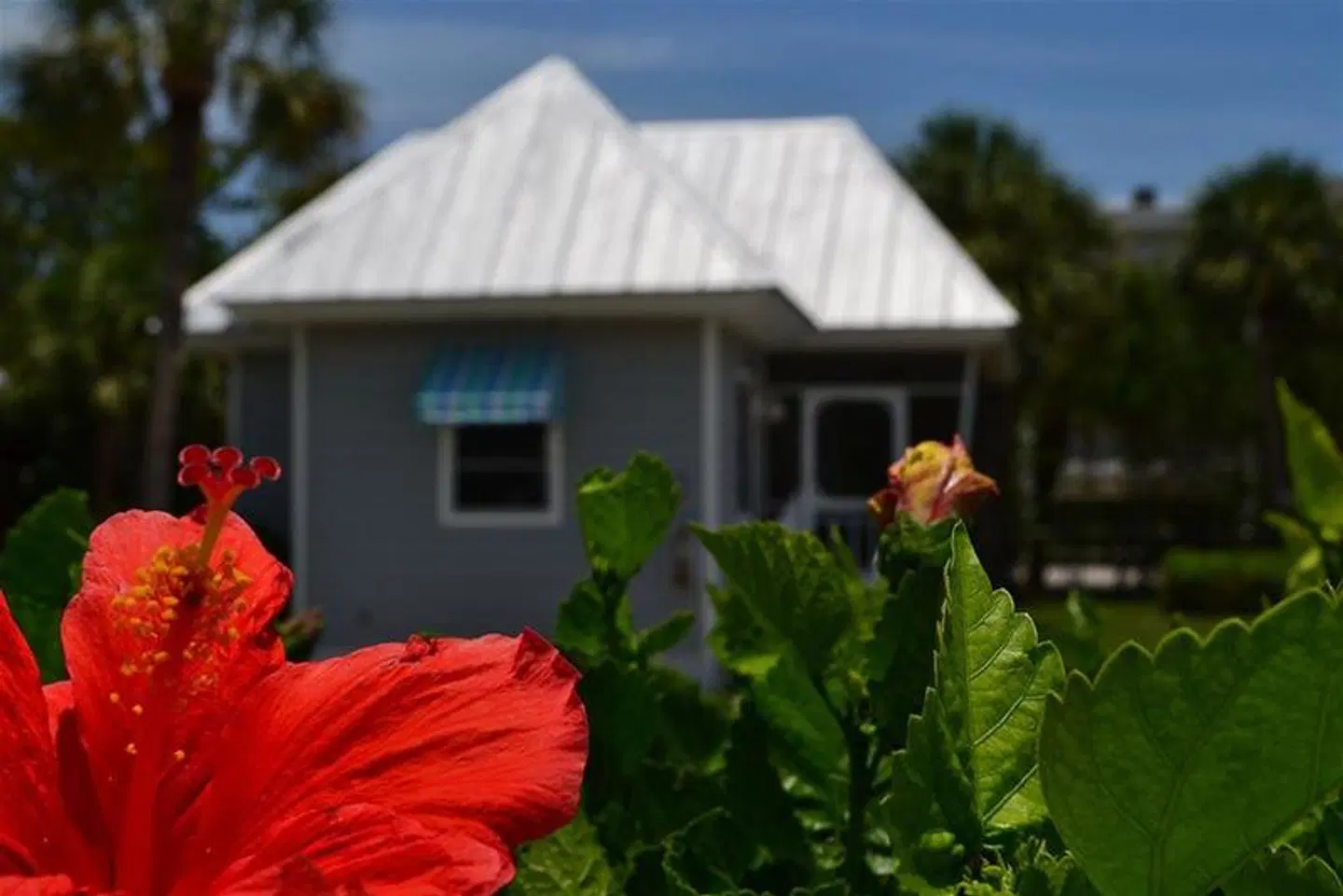 Shalimar Cottages And Motel Garten