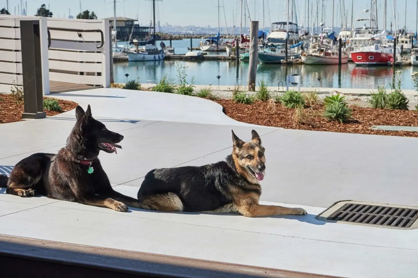 DoubleTree by Hilton Berkeley Marina OUTDOOR_POOL