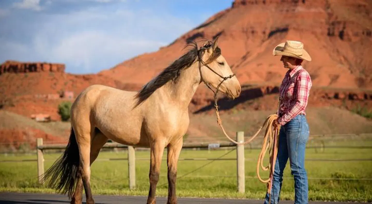 Sorrel River Ranch Resort & Spa Tiere