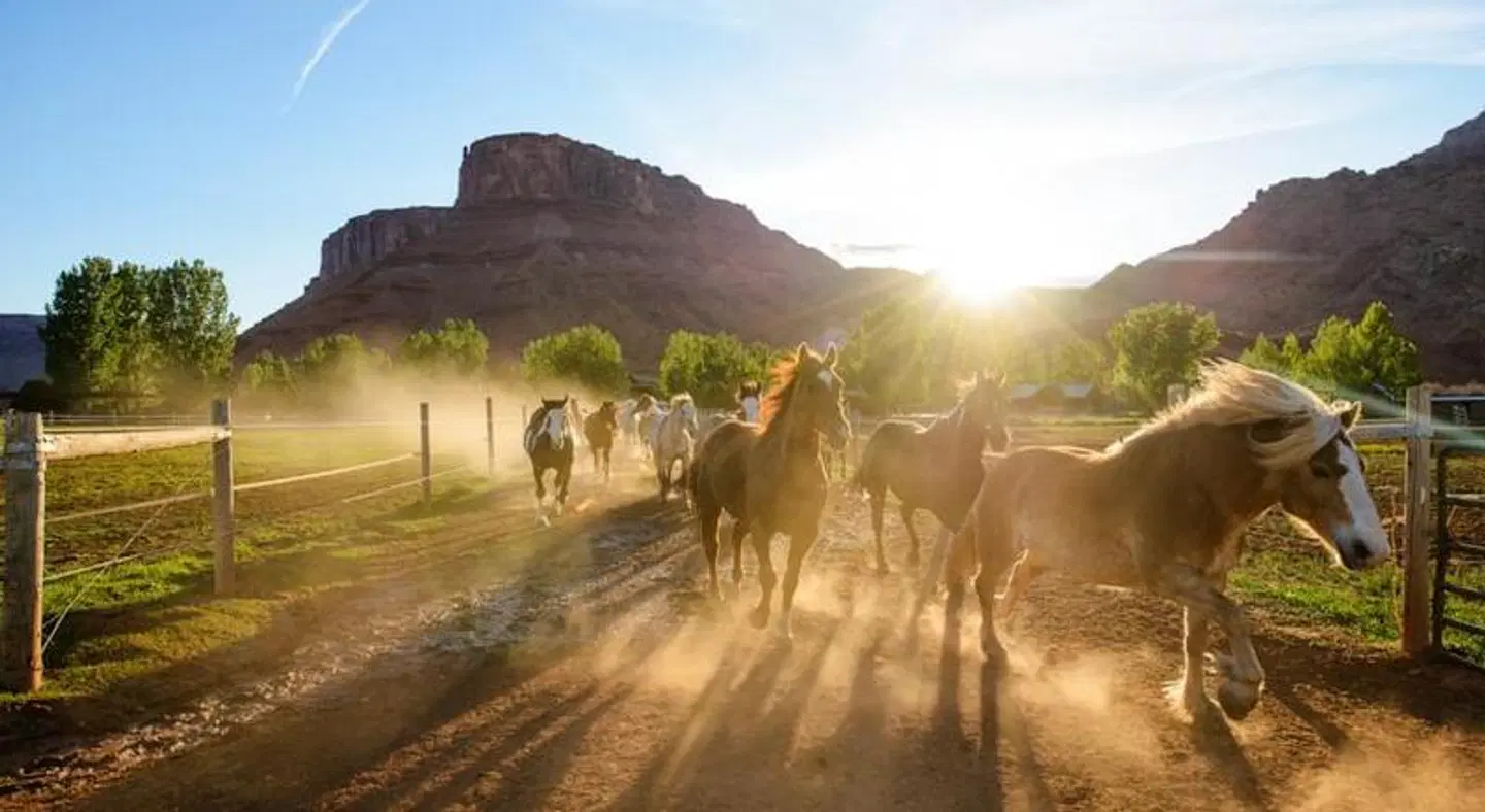 Sorrel River Ranch Resort & Spa LANDSCAPE