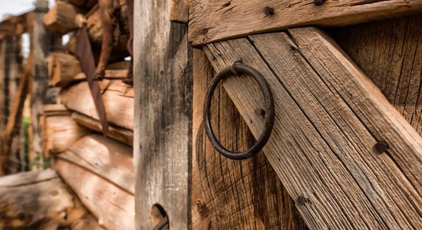 Sorrel River Ranch Resort & Spa Tiere