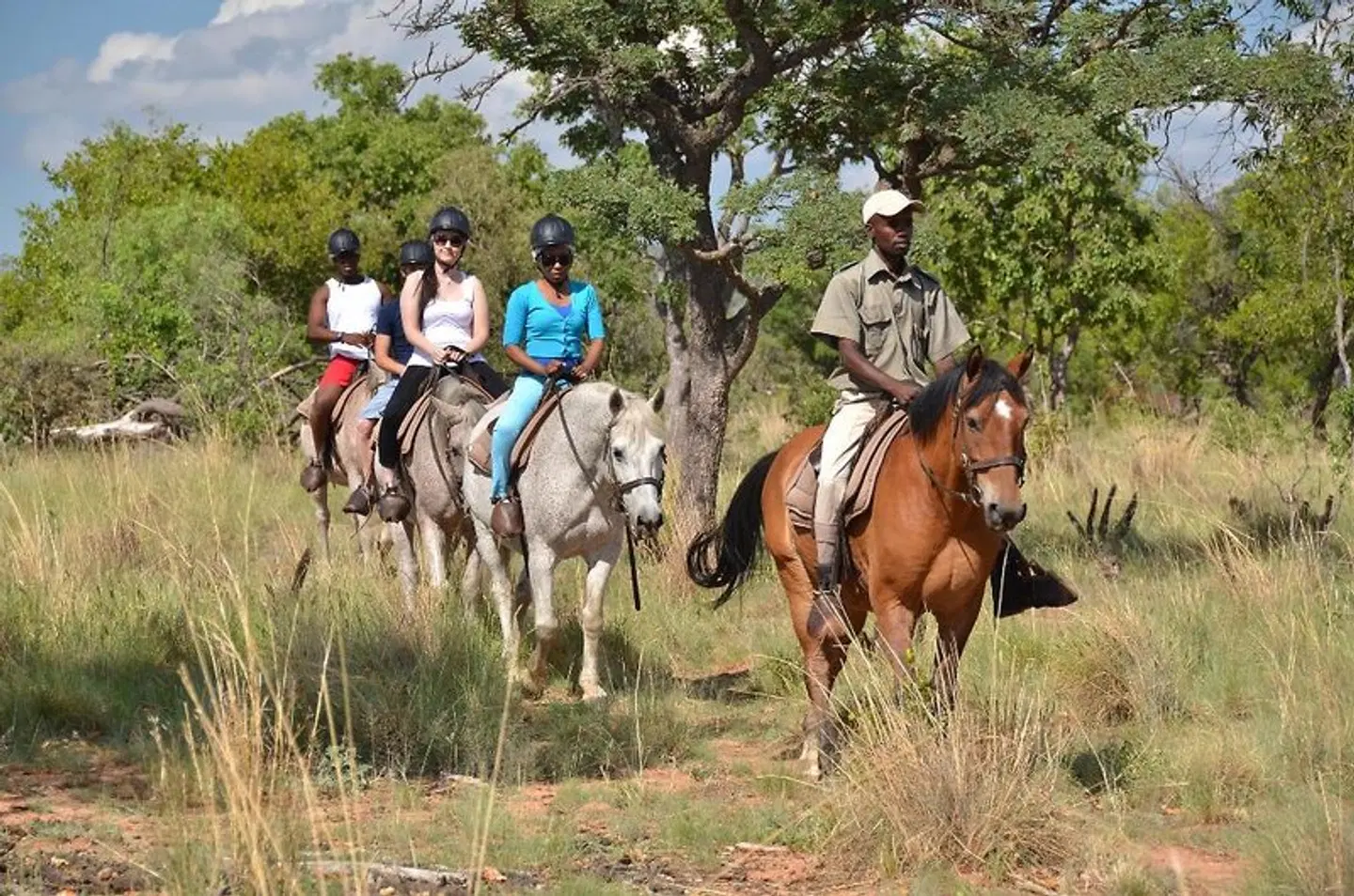 Mabula Game Lodge Tiere