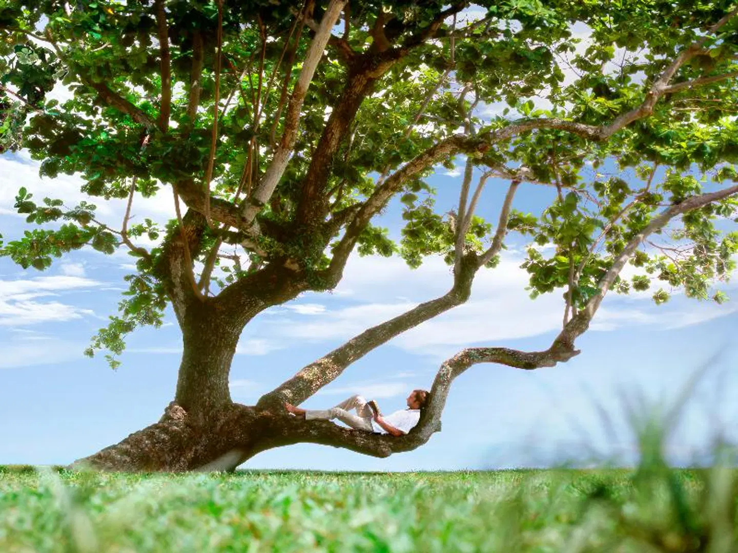 Shangri-La's Rasa Sayang Resort & Spa, Penang Tiere