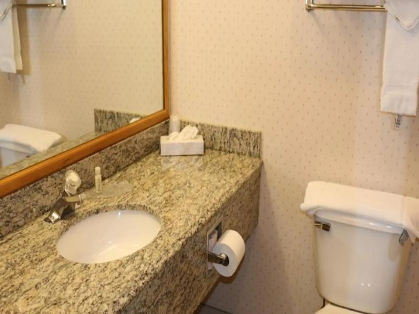 Gray Wolf Inn & Suites Badezimmer