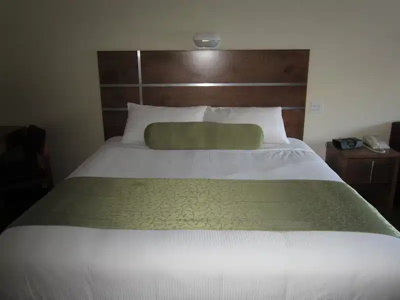Quality Inn & Suites Clearwater – Hotelfoto