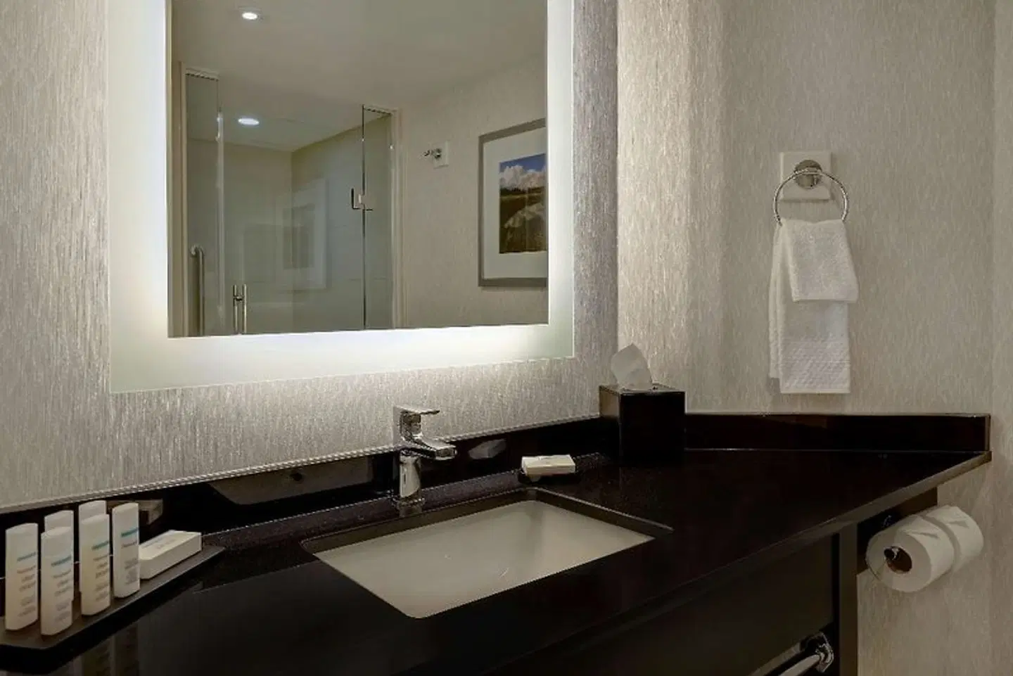 Hyatt Regency Niagara Falls Fallsview ROOM_EXAMPLE