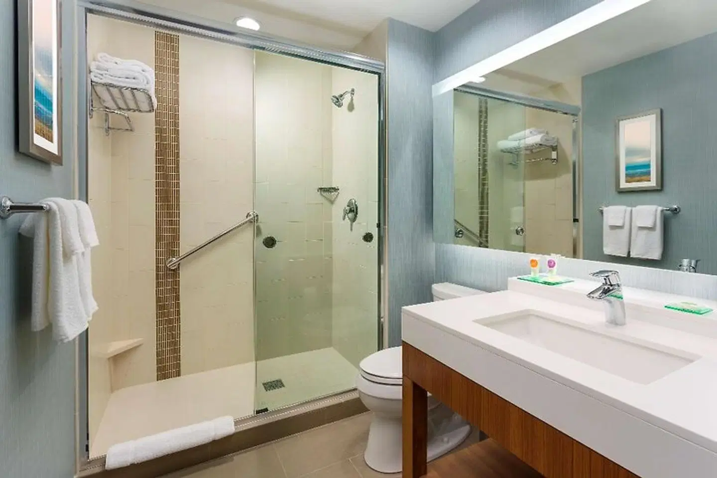 Hyatt Place Chicago/Downtown - The Loop Badezimmer